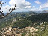 Castell d'Alaro